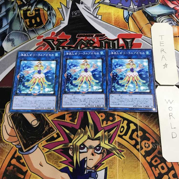 Marincess Coral Anemone 15 Normal, set of 3 Tera