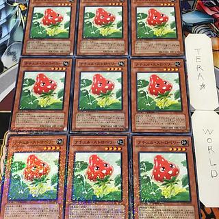 ナチュル・ストロベリー DT07 1 デュエルターミナル 効果 9枚セット てら 9枚