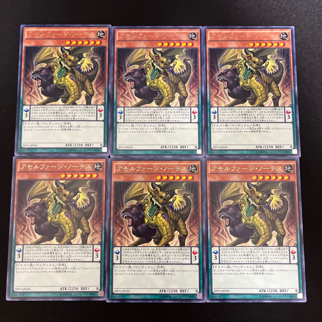 m223 Amorphophaginotes 1枚