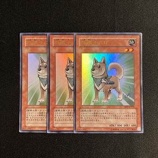 L100 Shiba-Warrior Taro Ultra Rare 3-Card Set Yu-Gi-Oh!