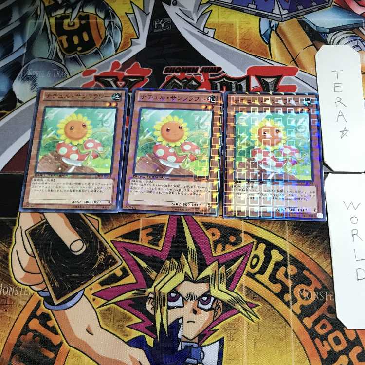 Naturia Sunflower DTC2 1 Duel Terminal, Set of 3 Tera.