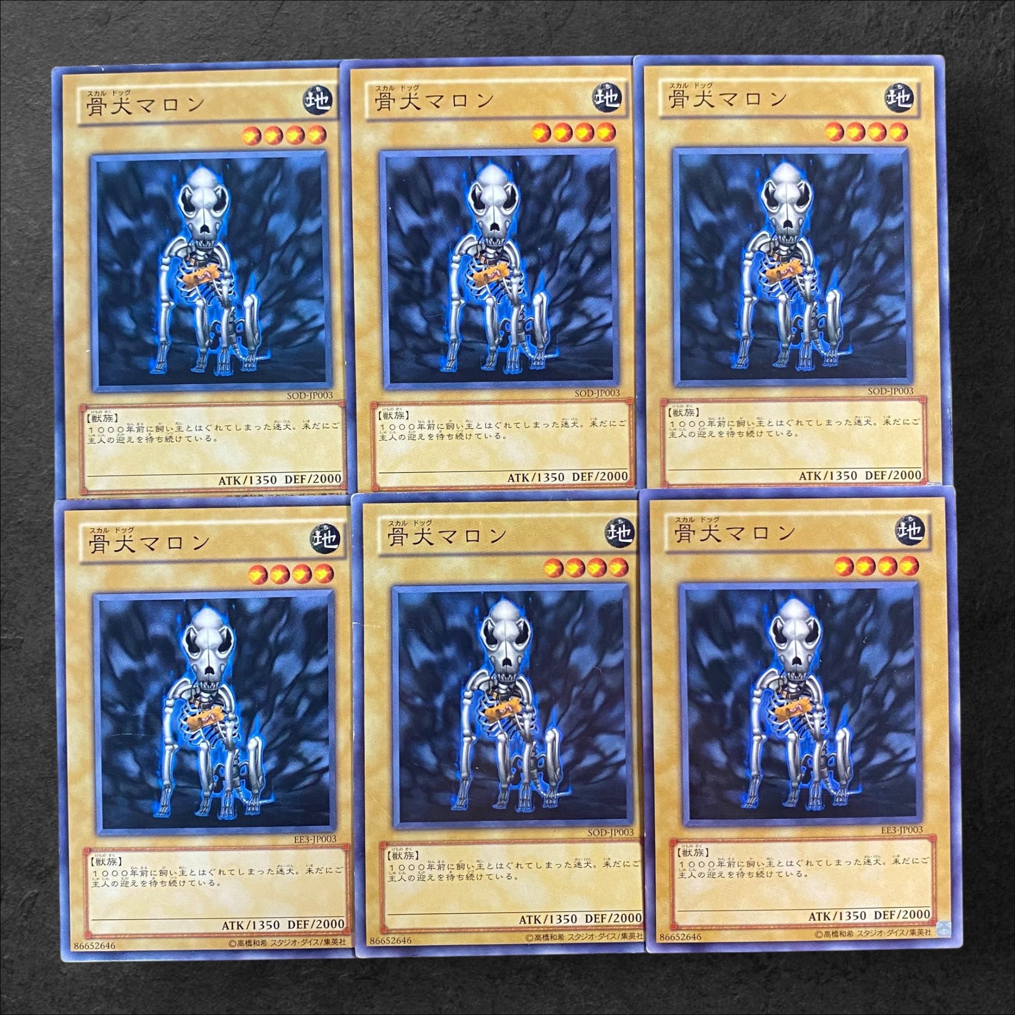 8620 [King of Games] Skull Dog Marron 6-card set