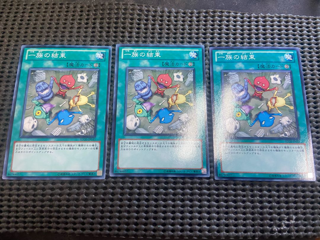 Y-85 Solidarity Normal JP031