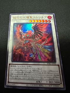 獄花の大燿聖ストリチア