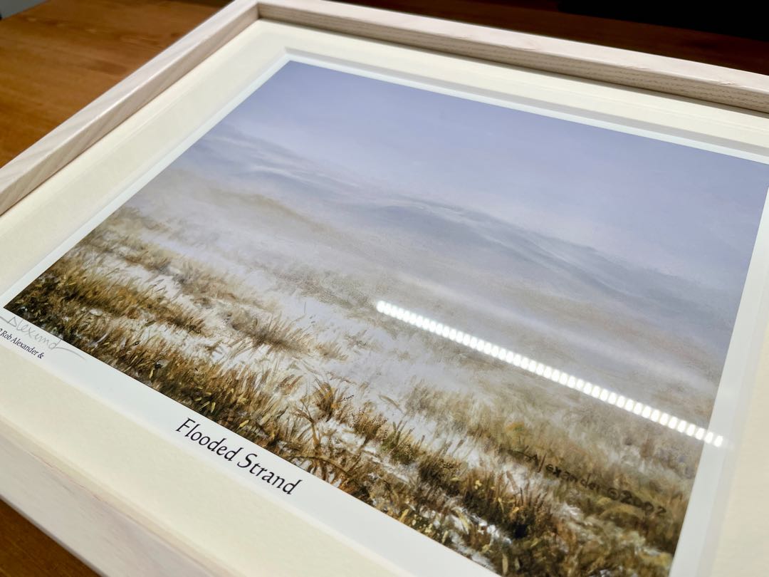 Rob Alexan 溢れかえる岸辺 レア 233/269