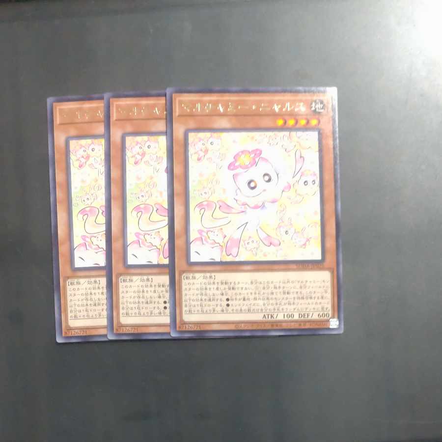 Multi Gammy Nyals Rare SUDA-JP025✕3 [Korindo].