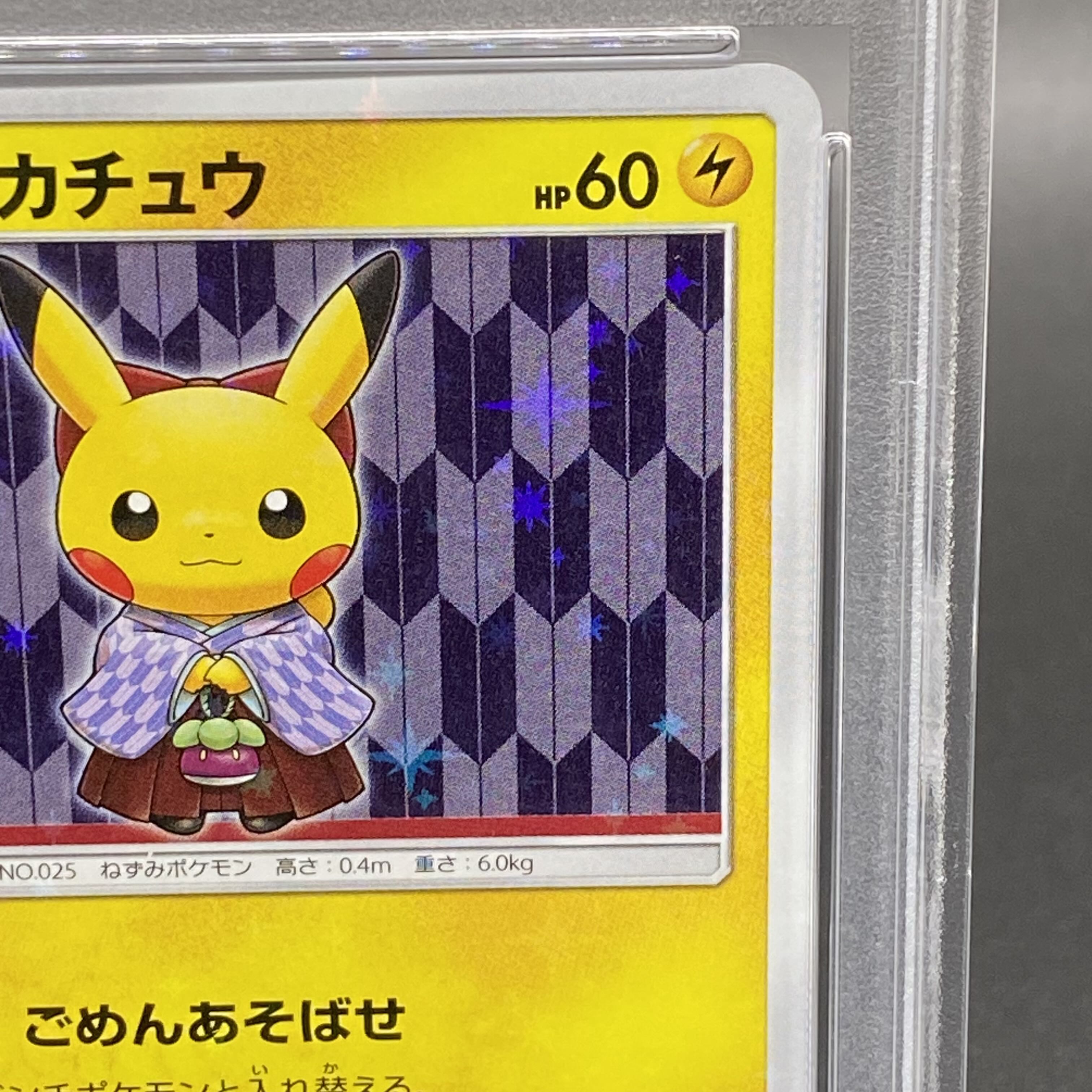 PSA10] Pikachu PROMO 208/SM-P in Hakama