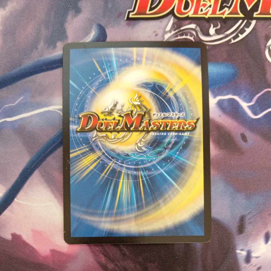 Class S Primitive Sunmad SR S9/S9 1枚