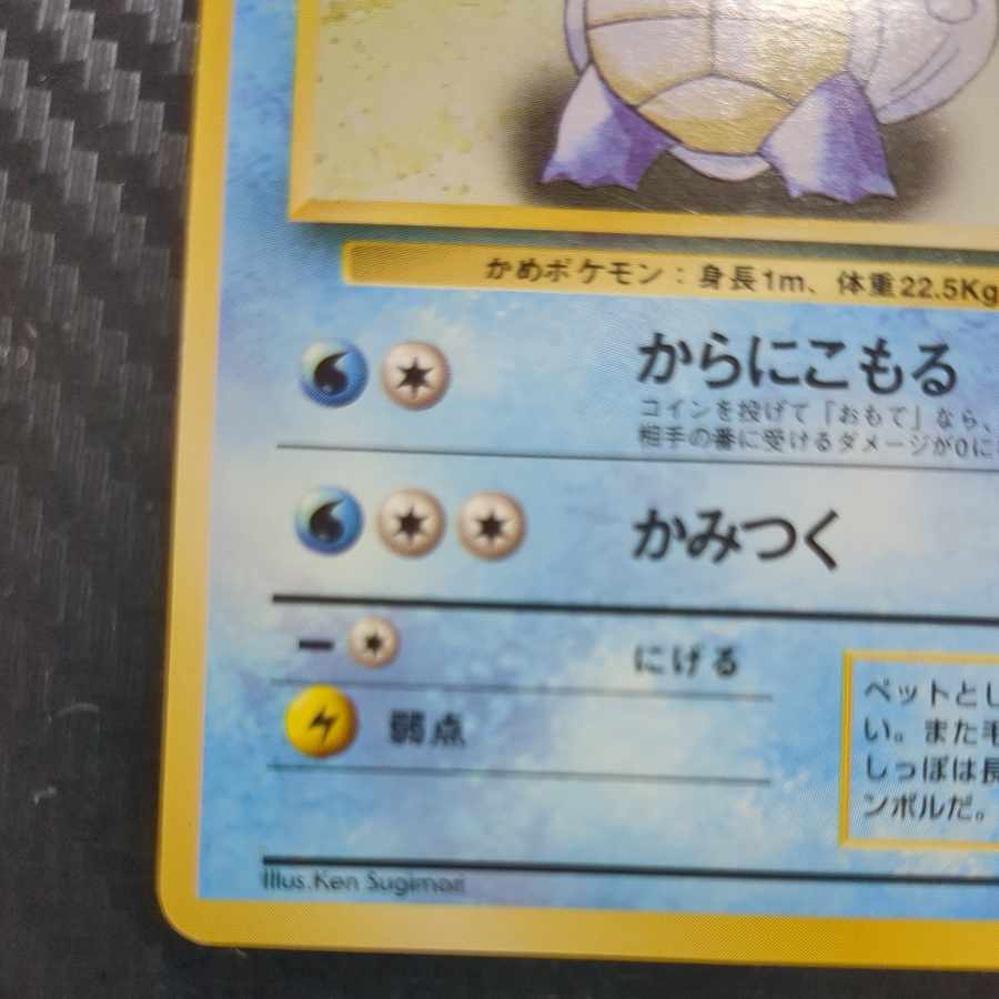 Wartortle old back 1枚