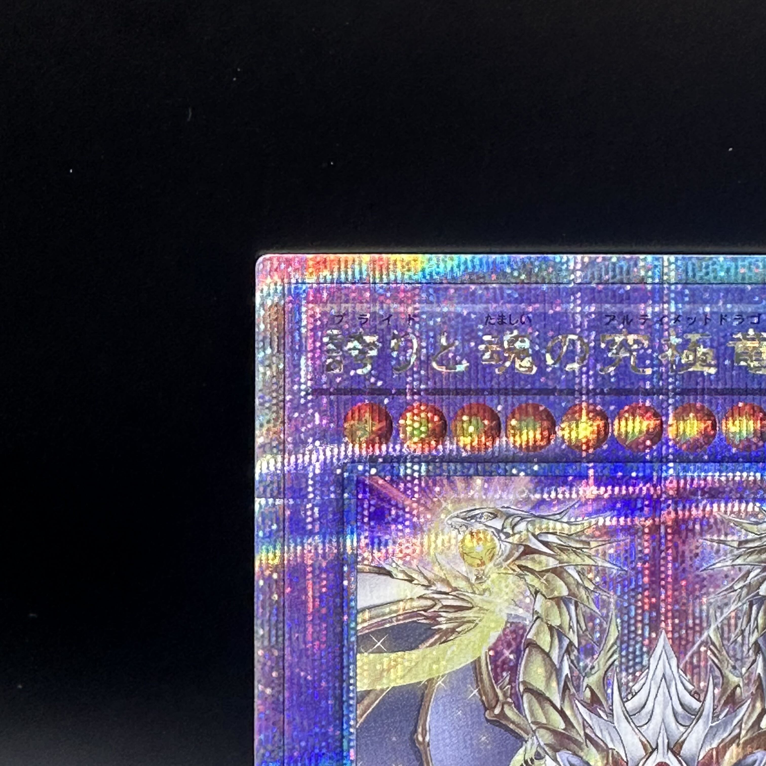 Ultimate Dragon of Pride and Soul QCSE, 25th Sikh ROTA-JP000