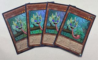 Masked Chameleon Super Rare, set of 4