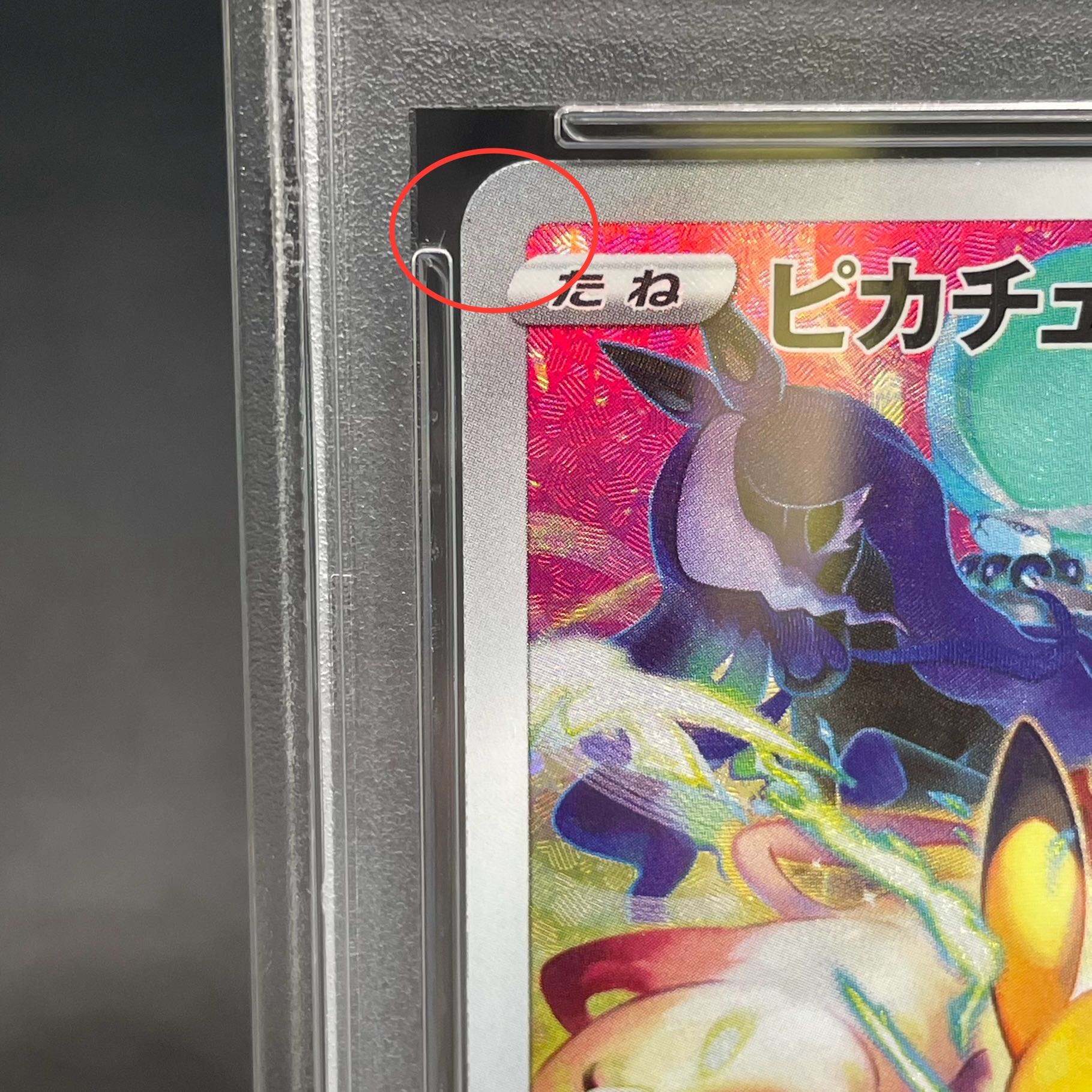 【PSA10】ピカチュウ PRECIOUS COLLECTOR BOX PROMO 323/S-P