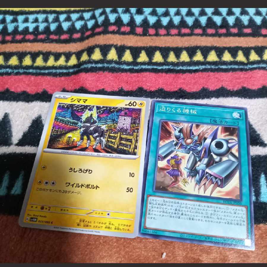 41-5Blitzle+Yu-Gi-Oh! 1枚