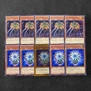 5984【遊戯王】イビルセラ・ルテア　グローアップ・バルブ　各5枚セット