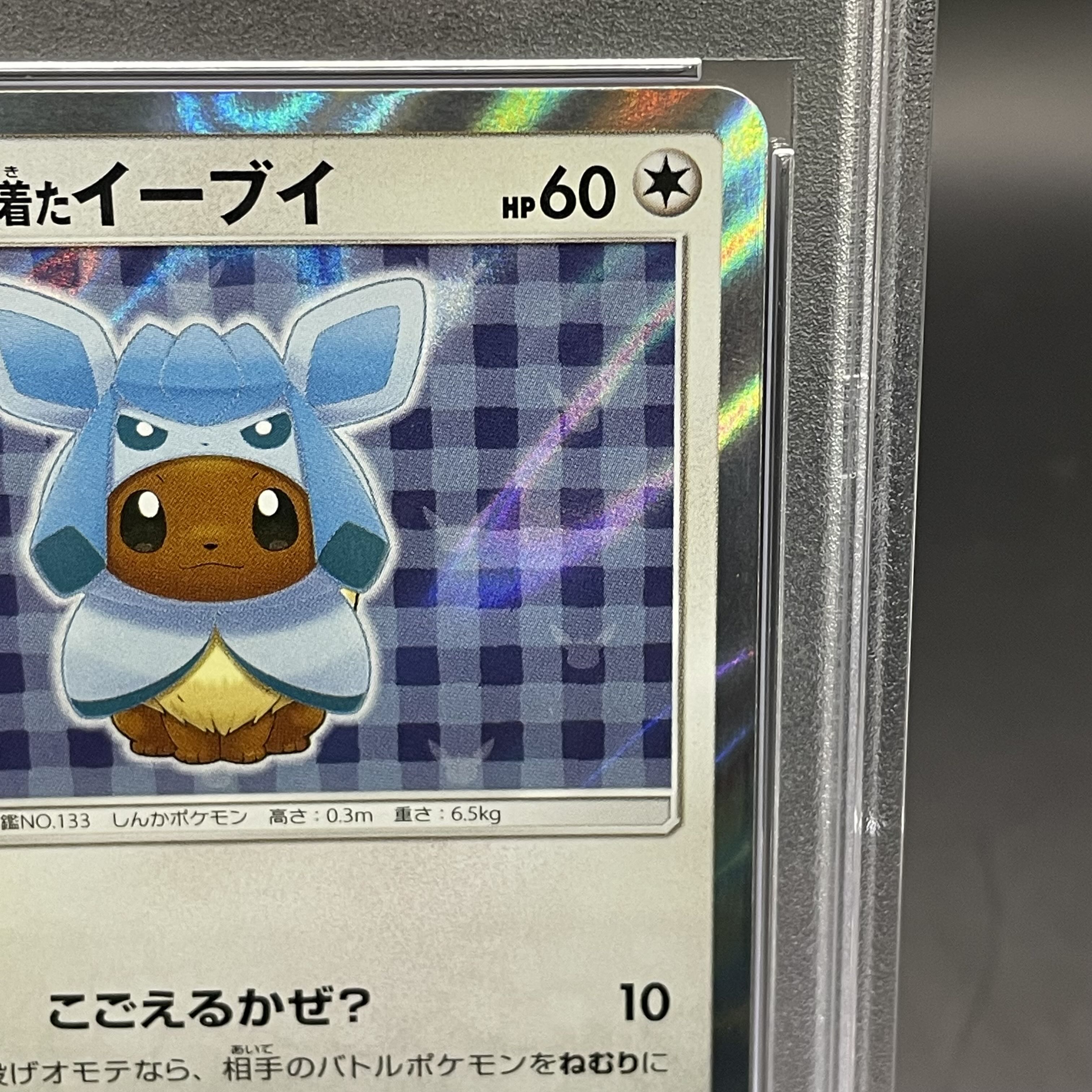 【PSA10】ポンチョを着たイーブイ PROMO 143/SM-P