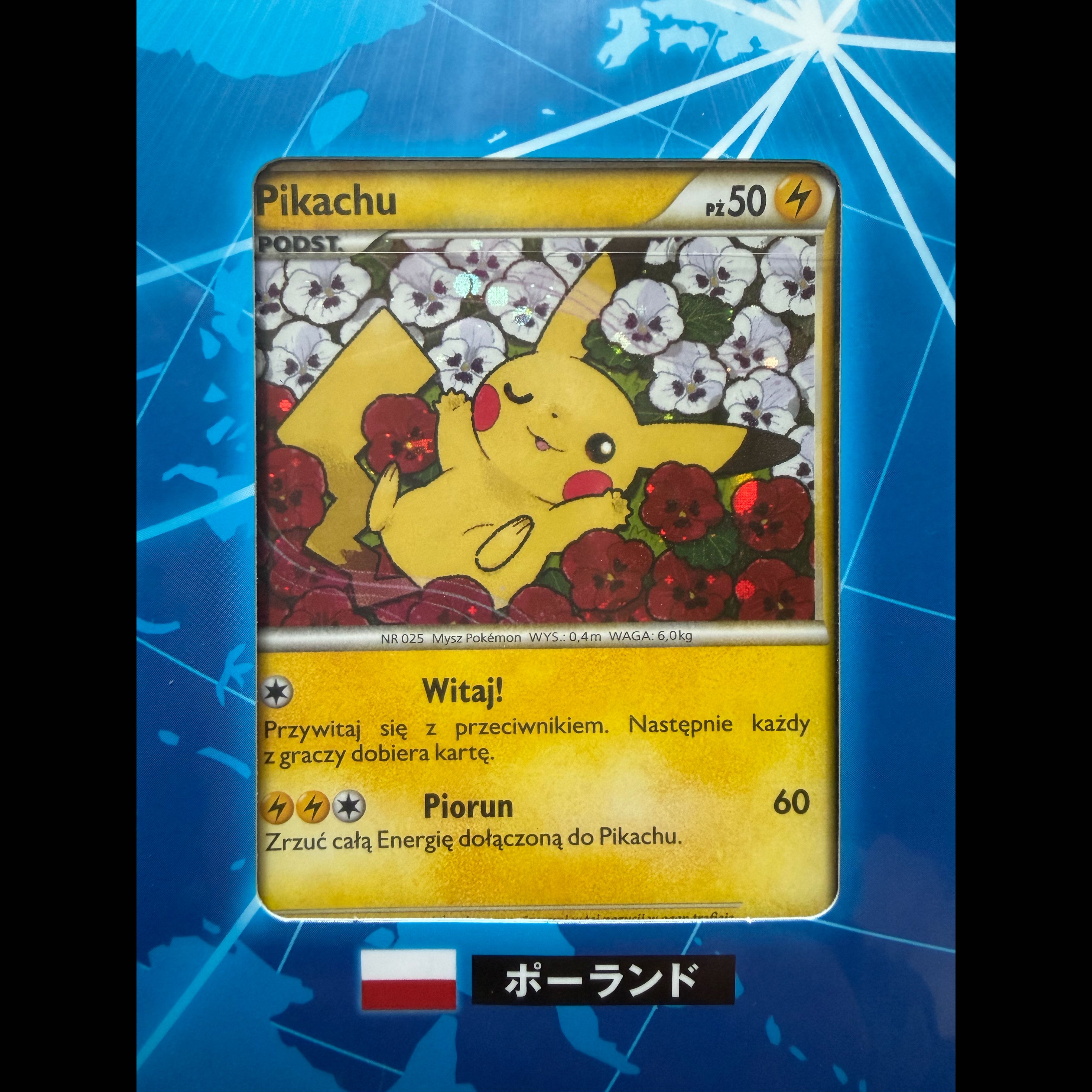 新品 ポケモンカードゲーム ピカチュウワールド 未開封BOX  1BOX