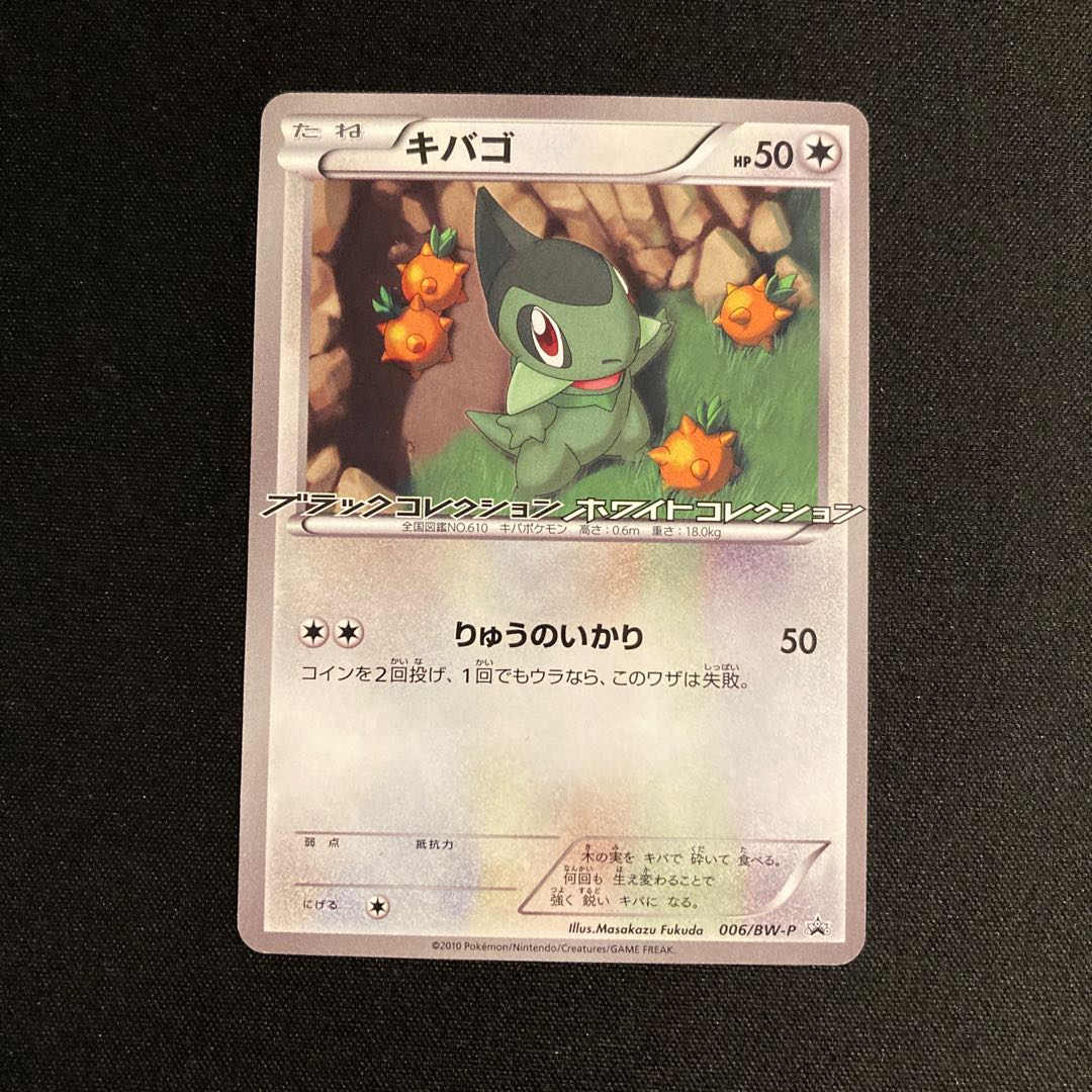 h157 Axew Promo Black Collection HoWight Collection Pokémon Treasurer