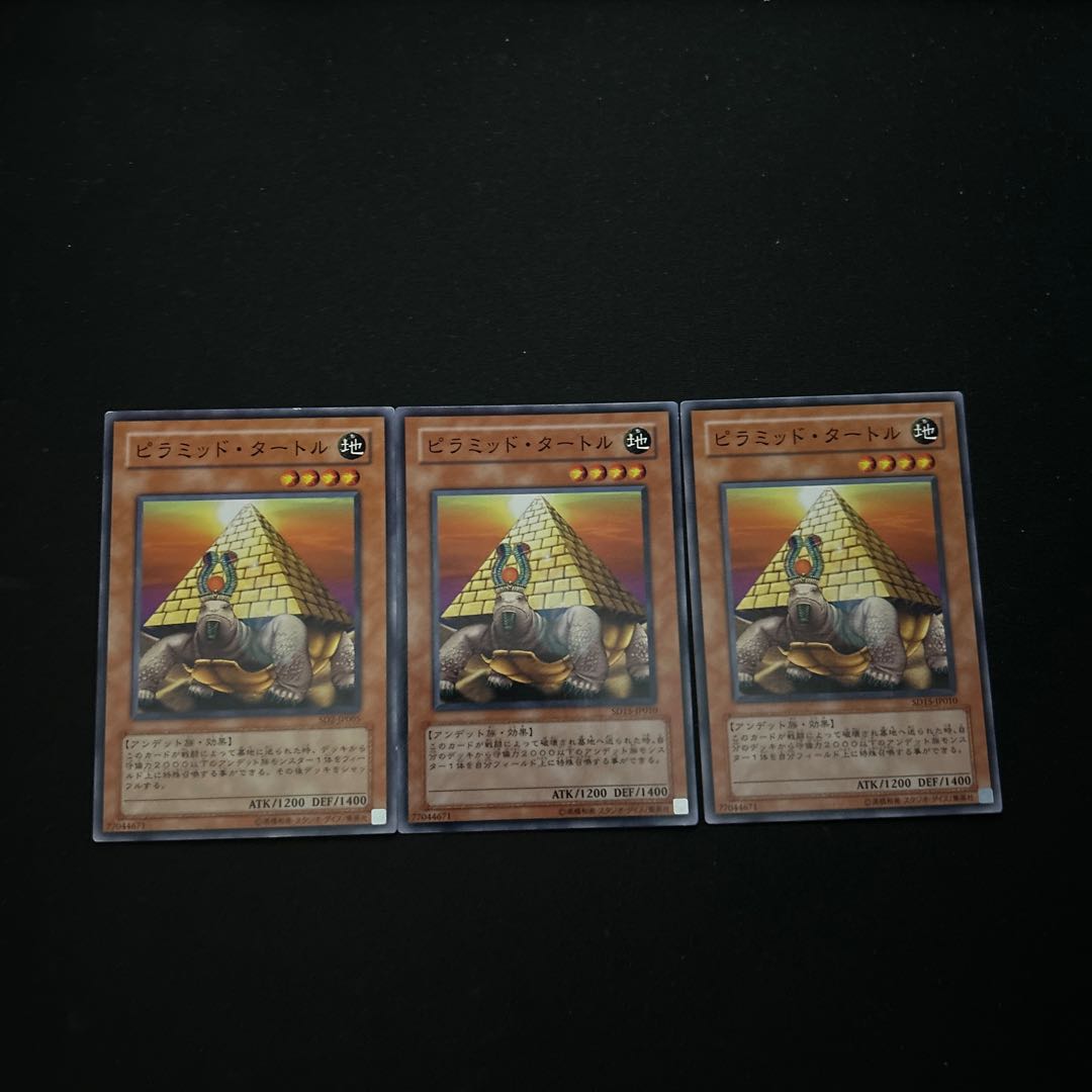 3865 Pyramid Turtle☆3843