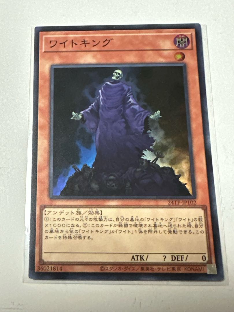 King of the Skull Servants 24TP-JP102