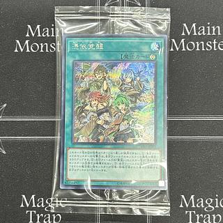 〔未開封〕遊戯王OCG 憑依覚醒 シークレットレア 19YJ-JPT02【37-0906-03M6】