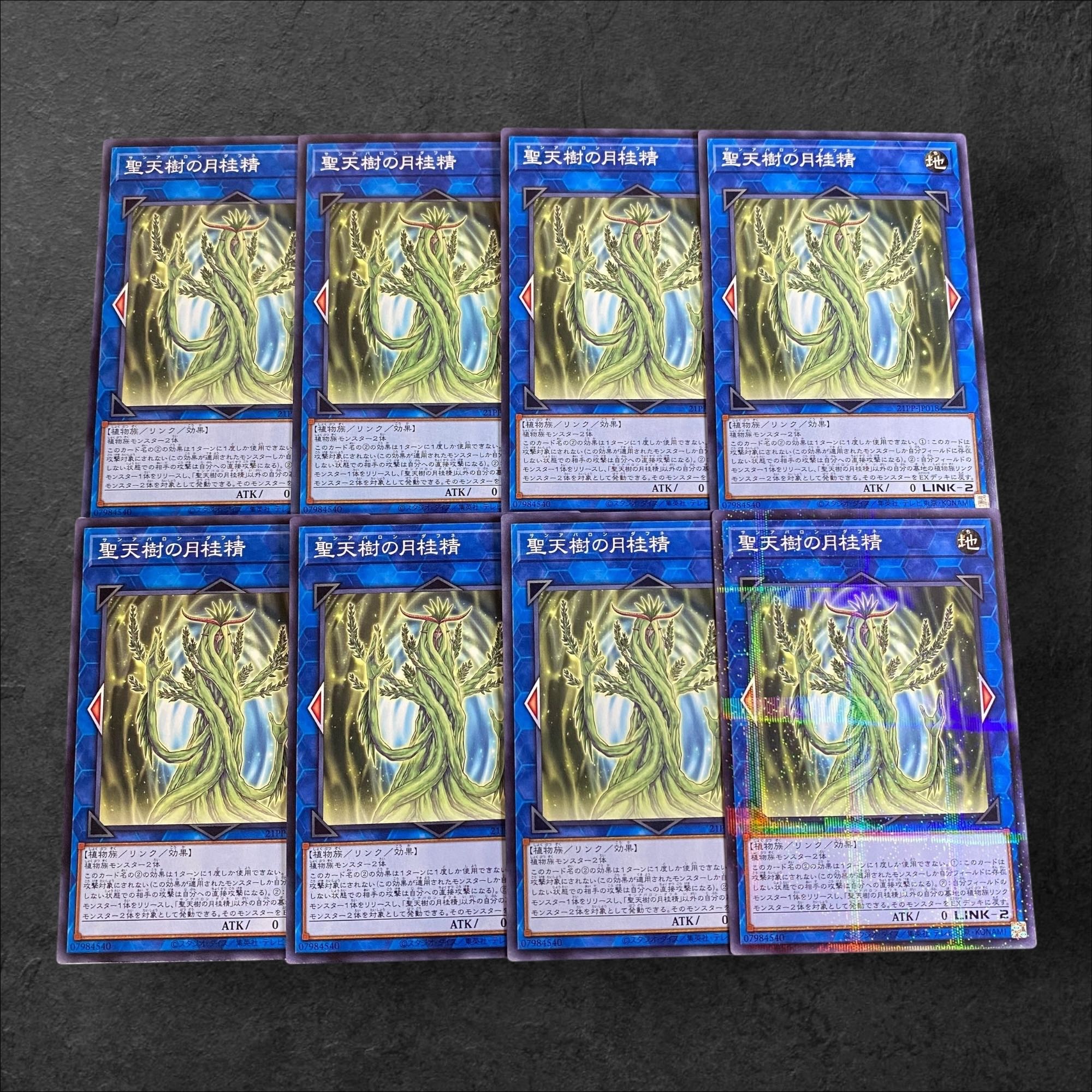 9637【遊戯王】聖天樹の月桂精　8枚セット