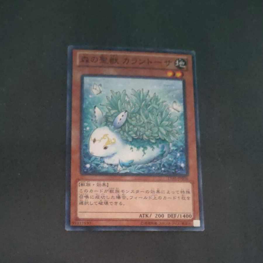 【木林堂】 【木林堂】 森の聖獣 カラントーサ ノーマル JP036 1枚