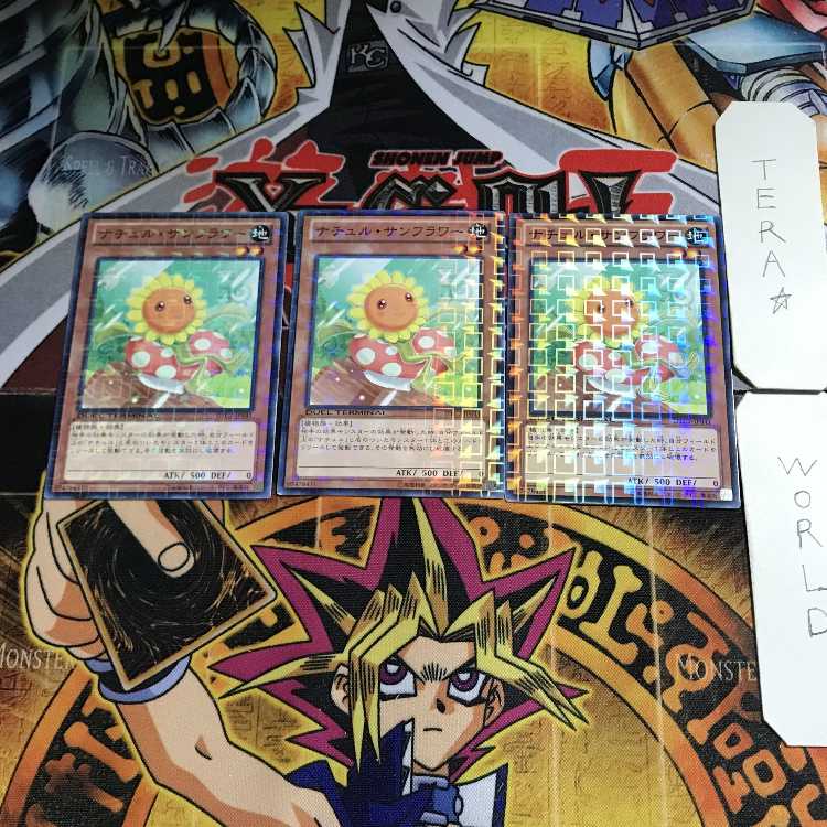 ナチュル・サンフラワー DTC2 3 デュエルターミナル 3枚セット てら