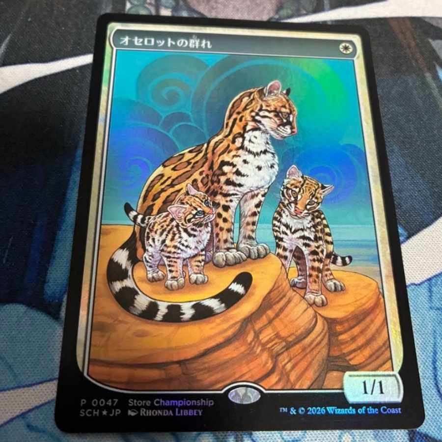 Ocelot Herd Store Champion Promo 1枚