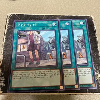 3枚セット予約確定 ワンチャン!? ノーマル JP031 1枚