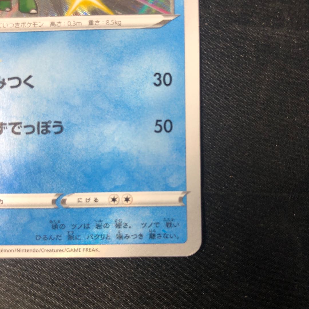 カムカメ S 227/190 1枚