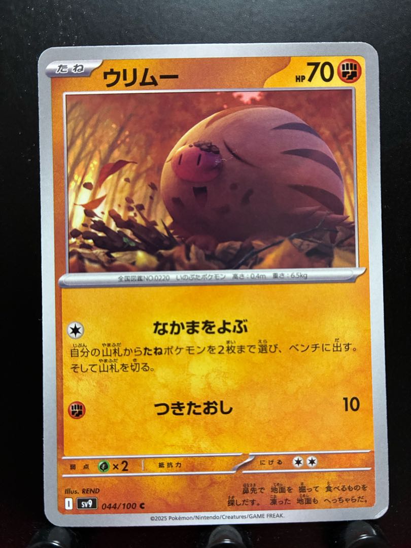 Rakurakudo] Pokeka Swinub