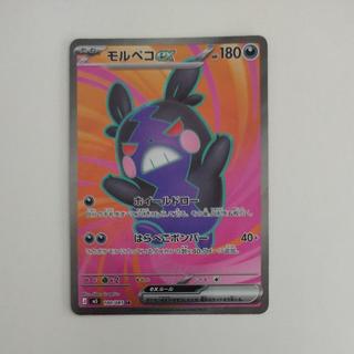 モルペコex