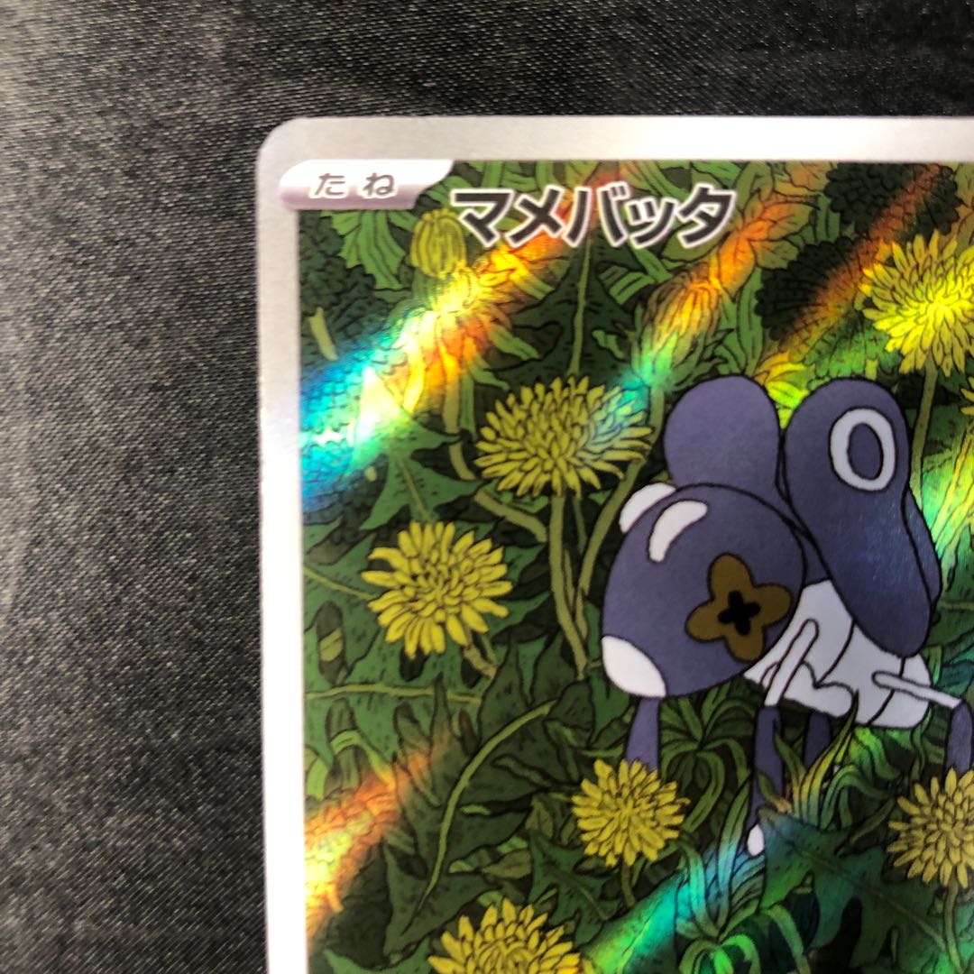 マメバッタ AR 082/080