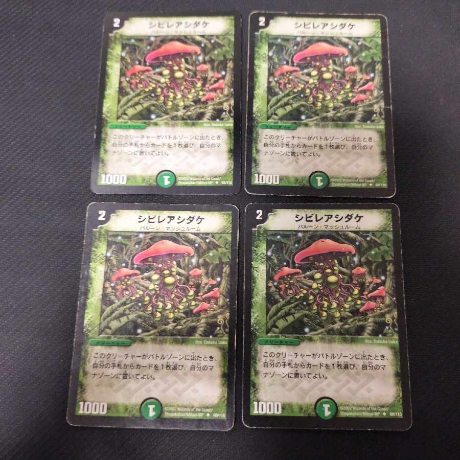 シビレアシダケ　初期4枚 4枚