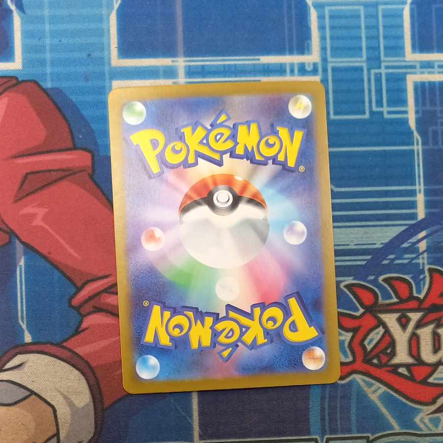 エリカの招待 SAR 206/165