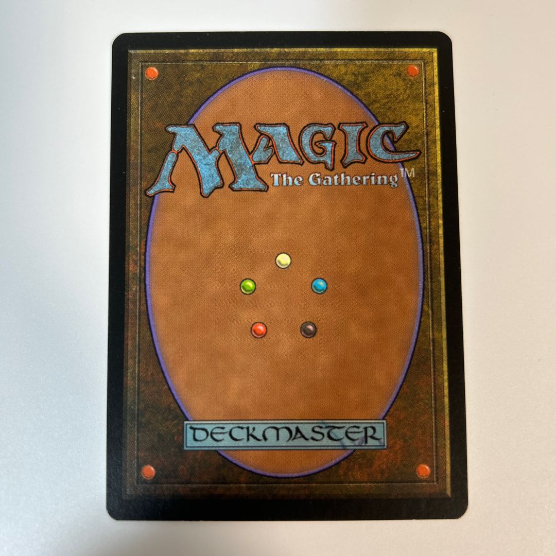 森の知恵 英語版 5ED 1枚