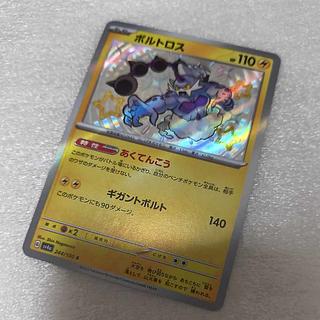 ボルトロス S 244/190 1枚