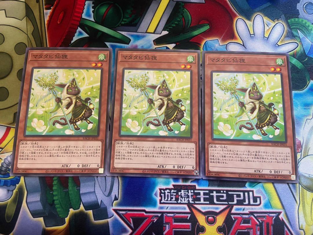 Y-825 Matatabi sengan tanuki normal JP031