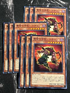 遊戯王スタジオ 9枚 黄昏の中忍-ニチリン ノーマル JP016