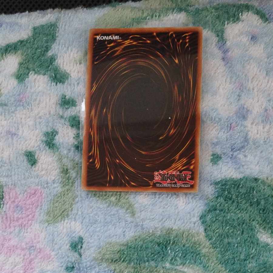 Black Rose Dragon Ultra Rare 2枚