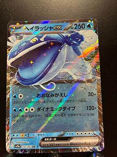 Rakurakudo] POKEKA Hayrusha ex.