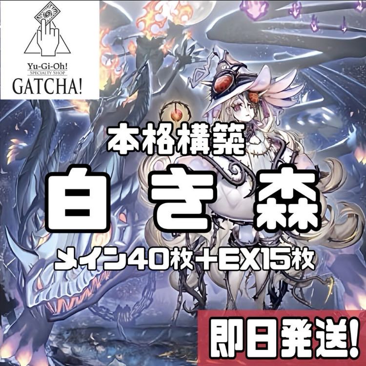 即日発送!【白き森】デッキ 遊戯王 白き森の聖徒リゼット 白き 即日発送!【白き森】デッキ 遊戯王 白き森の聖徒リゼット 白き