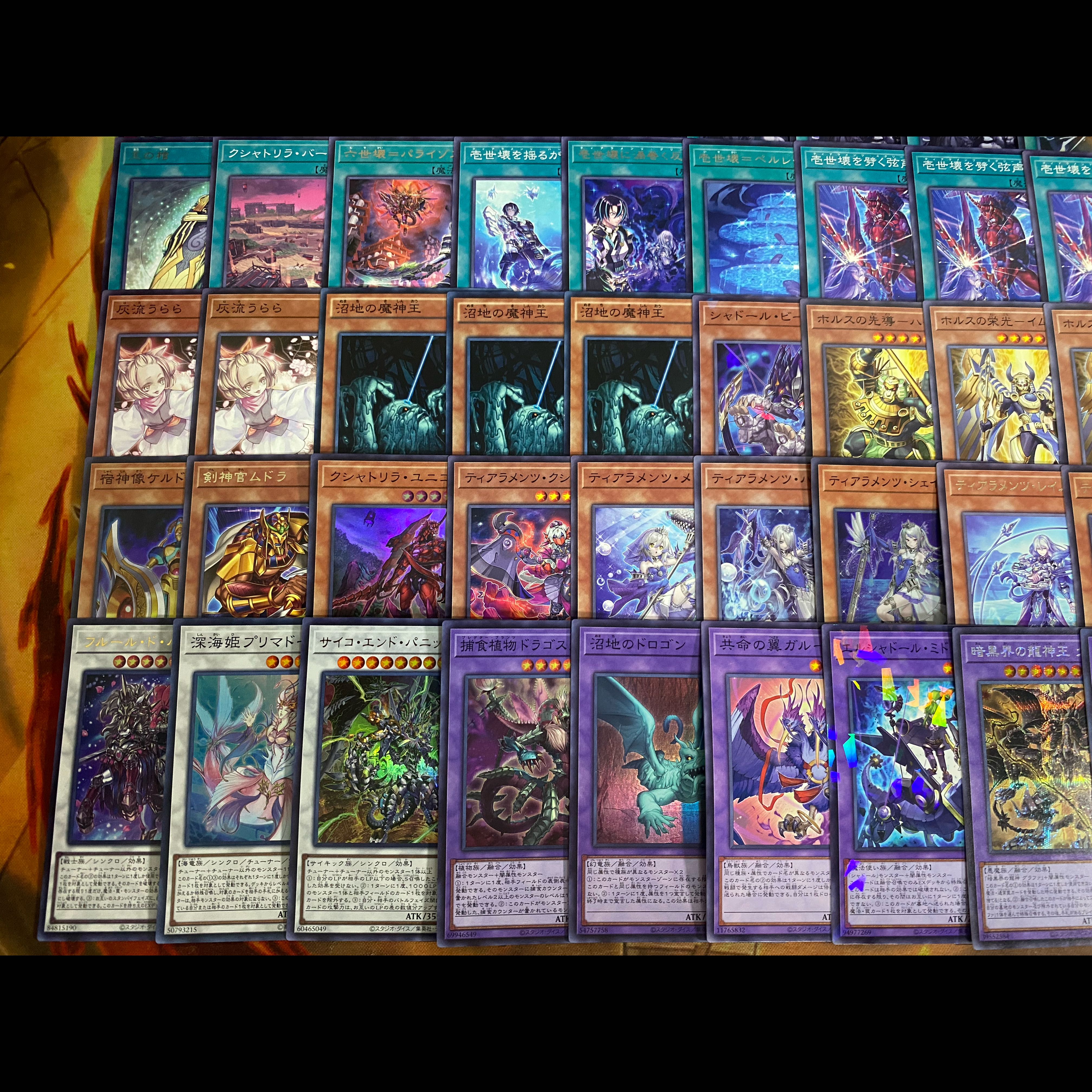 遊戯王　ティアラメンツ　ホルス　本格構築デッキ　大会構築【24時間以内発送】 1枚