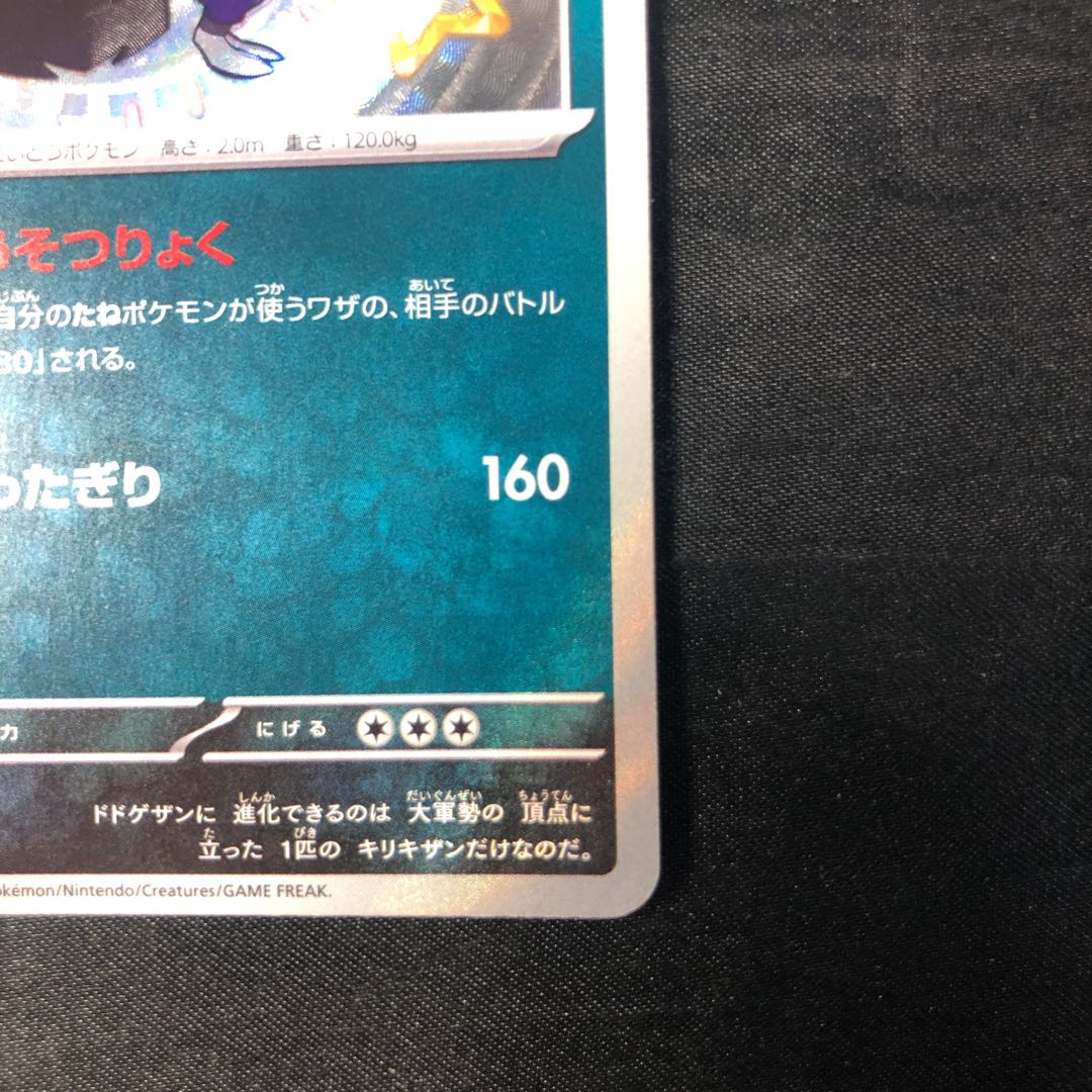 ドドゲザン S 294/190