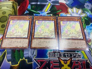 Y-769 Melffy Fenny Normal JP017