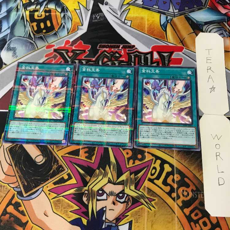 Kinkeijinjyo 23PP 1 Normal Parallel Magic 3-card set Tera.