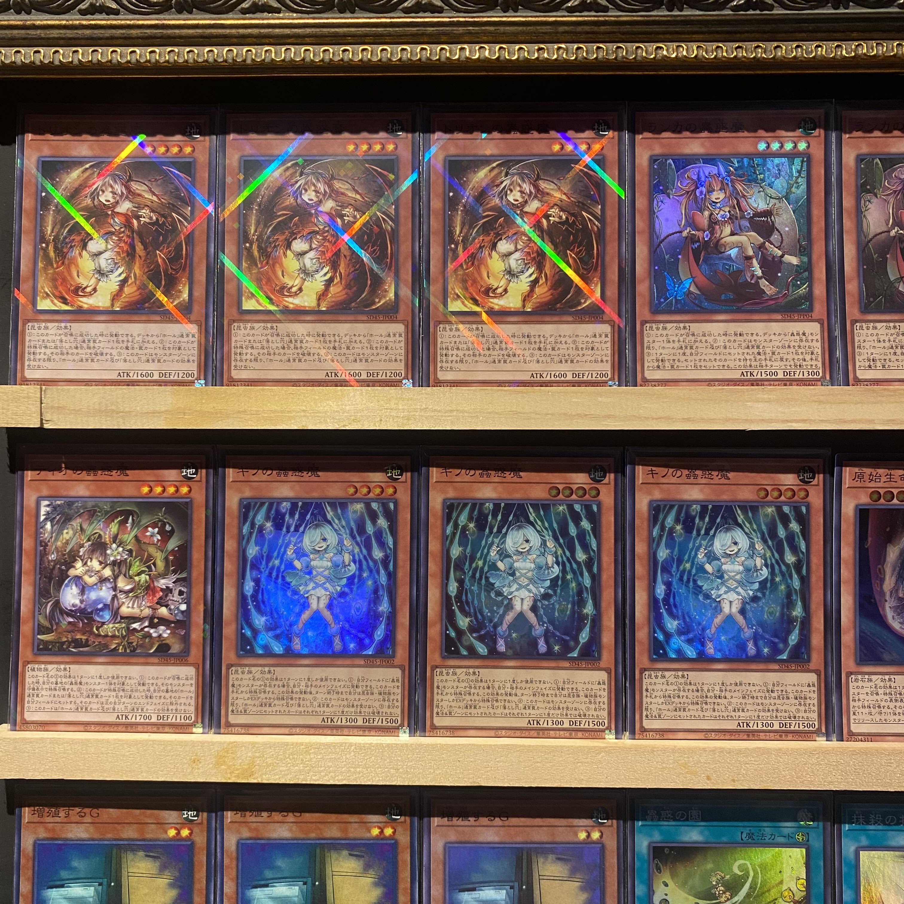 即日発送！大会用【蟲惑魔】デッキ 遊戯王 ホールティアの蟲惑魔