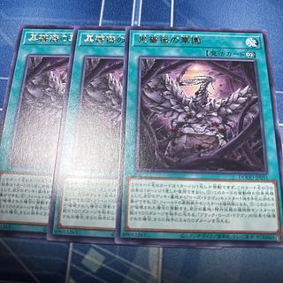 Black rose flower garden, rare DOOD-JP055