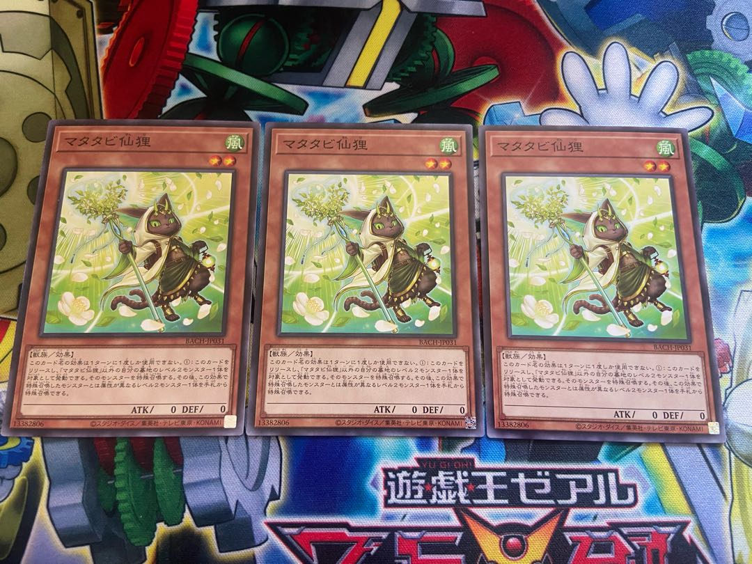 Y-834 Matatabi sengan tanuki normal JP031