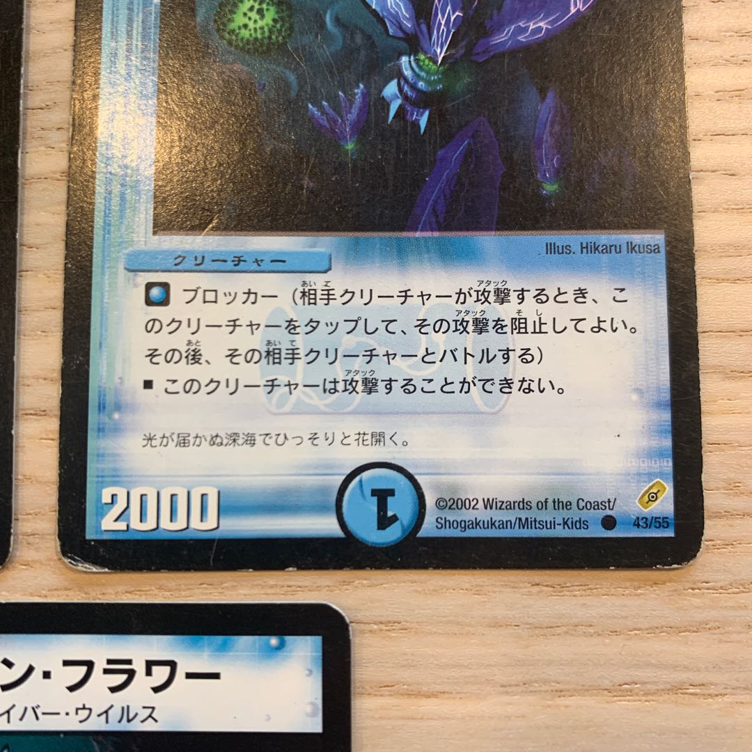 【セット販売のみ可】マリン・フラワー 1枚